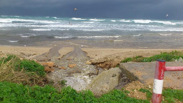 ביוב זורם לים בחוף הכנסיה - אתר הגלישה החשוב ביותר בישראל לקייט סרפינג (צילום: ירון כרמי)