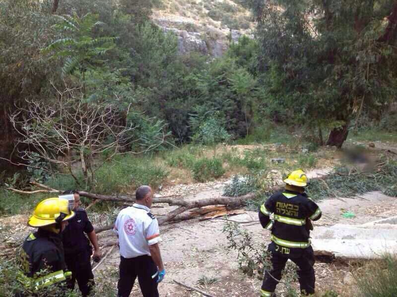 עץ קרס על משפחה בנחל הגיבורים בחיפה (צילום: דוברות מד״א)