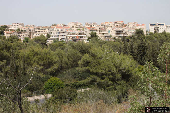 גבעת זמר: מבט אל רמת חן - שכונה חדשה בחיפה (צילום: דב קרייזל 052-2561272)