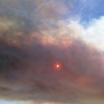 השרפה בכרמל – עשן מכסה את השמש (צילום: ירון כרמי)