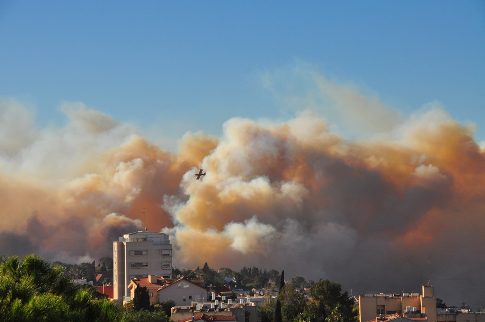 השרפה בכרמל - האש פורצת מכיוון עוספיה לכיוון מערב (צילום: איש גורדון)