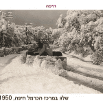 שלג_במרכז_הכרמל_1950