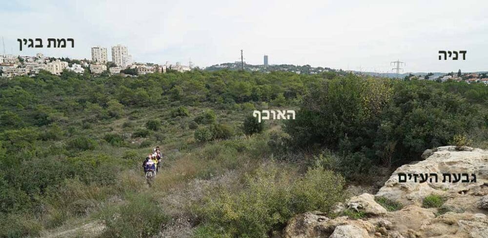 מבט מגבעת העזים לרמת בגין (צילום: ירון כרמי)