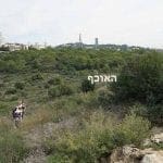 מבט_מגבעת_העזים_לרמת_בגין_-_טבע_עירוני_מול_הבית