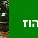 תכנון-גינה-בפנטהאוז-700-על-200