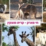חי_פארק