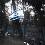 השרפה הגדולה בחיפה – 24 בנובמבר 2016 – היום שאחרי (צילום: רועי בן אריה)