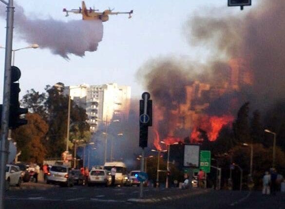חיפה בלהבות – השרפה הגדולה: מטוס כיבוי ברוממה (צילום: מורדי גפן)
