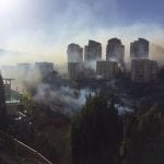 רמת ספיר לאחר סופת האש 24.11.2016 (צילום: שלומי זינו)