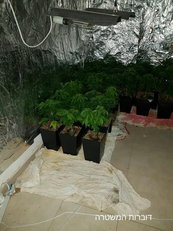 09_-_צמחי_מריחואנה_בשיטת_הידרו_-_קריית_ים._צילום_-_משטרת_ישראל.jpg
