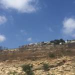 צילום שרון רז