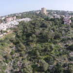 גבעת העיזים בחיפה (צילום: עמרי שפר)