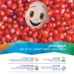 כללית