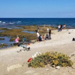 מבצע ניקיון בחוף שקמונה בחיפה על ידי מתנדבים ( צילום – שרה אוחיון)