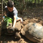 רכיבה על צבי ענק בזנזיבר – יער ג'וזאני