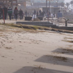 הדשא נהרס כליל – נזקים בטיילת חוף דדו בחיפה לאחר הסערה 20.01.2018 (צילום – ירון כרמי)