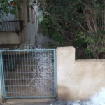 פיצוץ מים בשרון חיפה צילום מנשה שמש