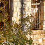 דירת רפאים ברחוב אבן גבירול בחיפה 02.02.2018 (צילום – ירון כרמי)