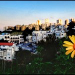 תמונת היום בחיפה – נווה שאנן (צילום – גלעד שטיין)