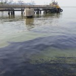 זיהום ים (צילום דן בירון היחידה הארצית להגנת הסביבה הימית במשרד להגנת הסביבה)
