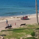 פקחי עיריית חיפה מסייעים לרחפת שנתקעה על החול בטיילת בת גלים (צילום – חיים רז)