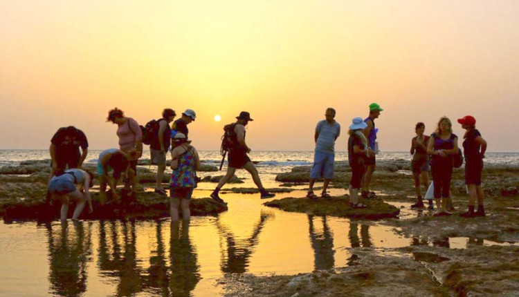 הקהילה הימית של חיפה מבצעת סקר אצות בשמורת שקמונה (צילום – יחיאל אוקנין)