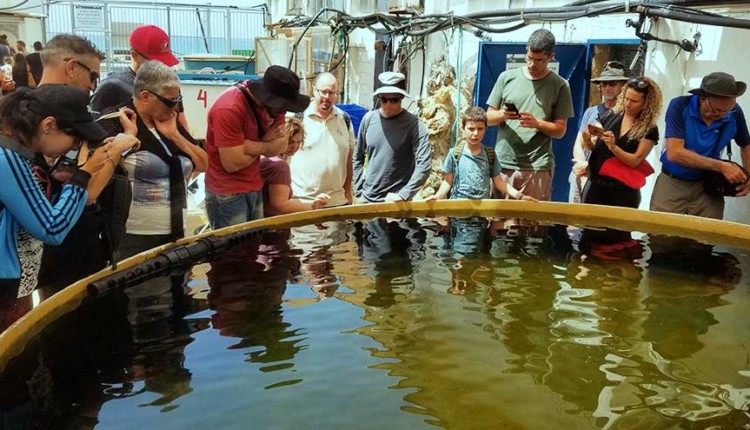 הקהילה הימית של חיפה במהלך סיור במרכז להצלת צבי ים במכמורת (צילום – שרה אוחיון)