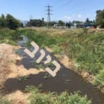 זיהום נחל גדורה בביוב 25/6/18 – צילום: אלון בן-מאיר, רשות נחל הקישון