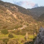 נחל אורן יערות הכרמל (צילום – ירון כרמי)