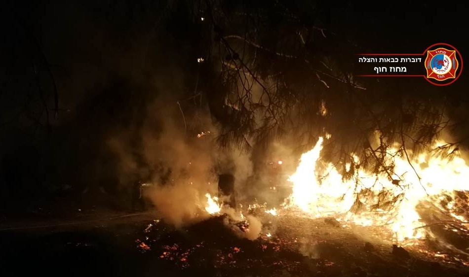 שרפת חורש מצפון לטבעון - ככל הנראה עקב ירי זיקוקים 21/6/2018 (צילום - לוחמי האש - מחוז חוף)