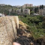 הגדר הירוקה משמאל ותחתיה האזור שנשרף – השרפה ברחוב דרייפוס 25/7/2018 (צילום – יעל אריאל)