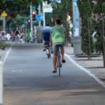 שביל אופניים בשדרות רוטשילד בתל אביב (צילום: ירון כרמי)