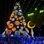 עץ אשוח מקושט בקישוטי אור – החג של החגים – קישוטי אור – חיפה – 30/11/2018 (צילום: גלעד שטיין)