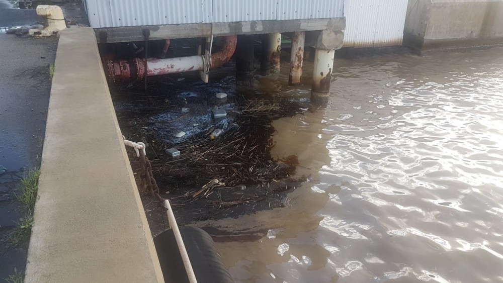 זיהום ים ברציף הכימיקלים בנמל חיפה (צילום: ניר לוינסקי - המשרד להגנת הסביבה)