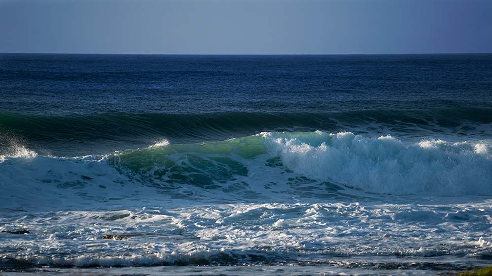 גלים וים סוער - שמורת שיקמונה (צילום: ירון כרמי)