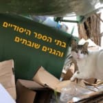 שביתה בחיפה – בתי הספר והגנים (צילום: ירון כרמי)