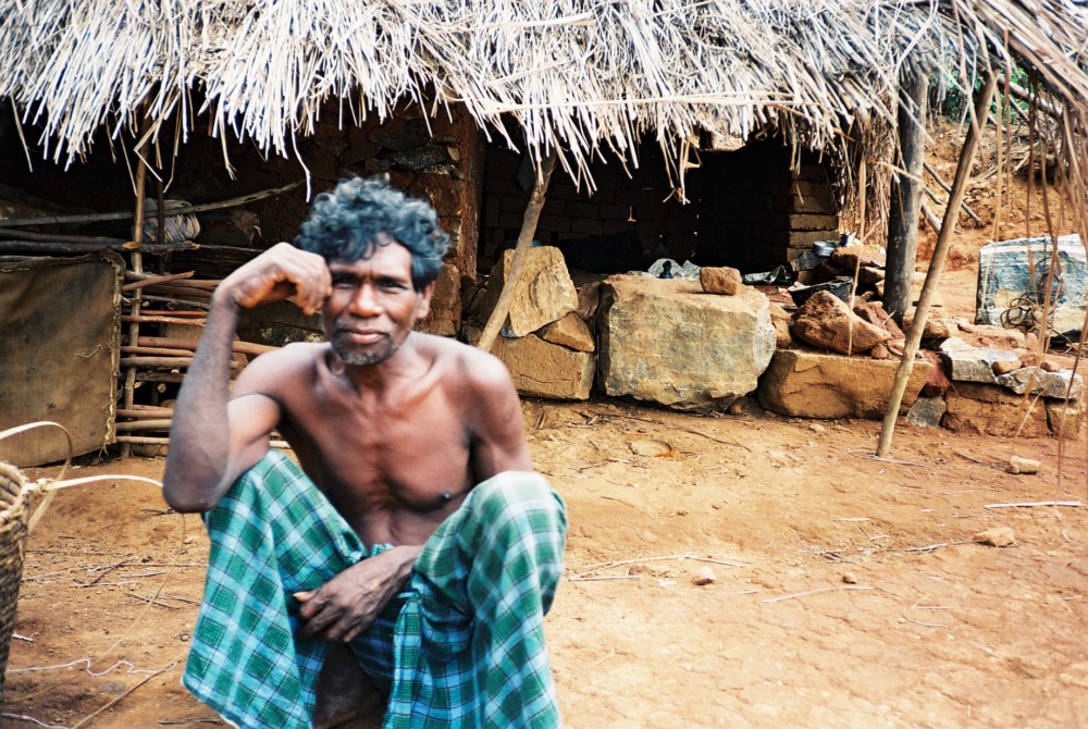 שנה עם ילידים בג'ונגל בהודו (צילום: נורית בירד דוד)