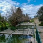 בריכות בוסתן כיאט מלאות מים – טיול חורף בנחל שיח בחיפה – התמונות ומסלול הטיול (צילום: גלעד שטיין)