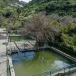 בריכות בוסתן כיאט מלאות מים – טיול חורף בנחל שיח בחיפה – התמונות ומסלול הטיול (צילום: גלעד שטיין)