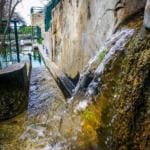 זרימה בנחל שיח – טיול חורף בנחל שיח בחיפה – התמונות ומסלול הטיול (צילום: גלעד שטיין)