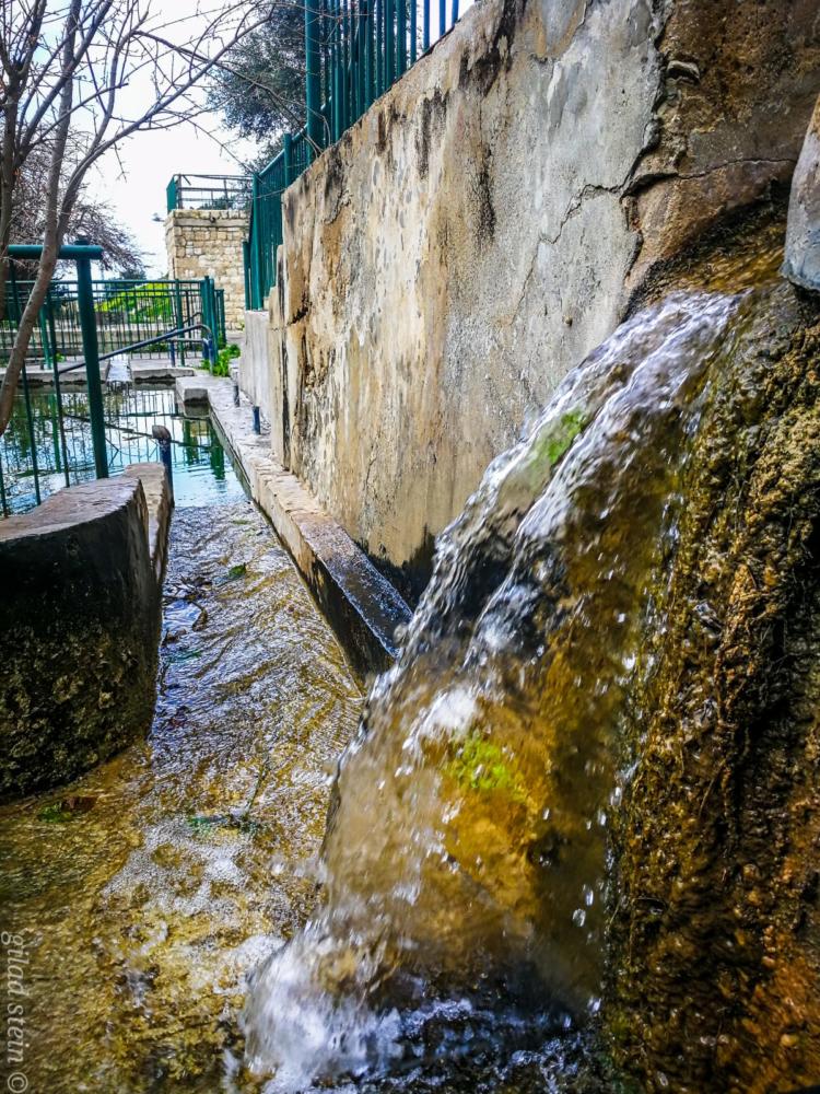 זרימה בנחל שיח - טיול חורף בנחל שיח בחיפה - התמונות ומסלול הטיול (צילום: גלעד שטיין)