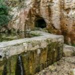 מעיין בנחל שיח – טיול חורף בנחל שיח בחיפה – התמונות ומסלול הטיול (צילום: גלעד שטיין)