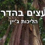 עצים בהדר עליון בחיפה. טבע-עירוני-בין-מקומי-ולא-מקומי – דנה הרצברג