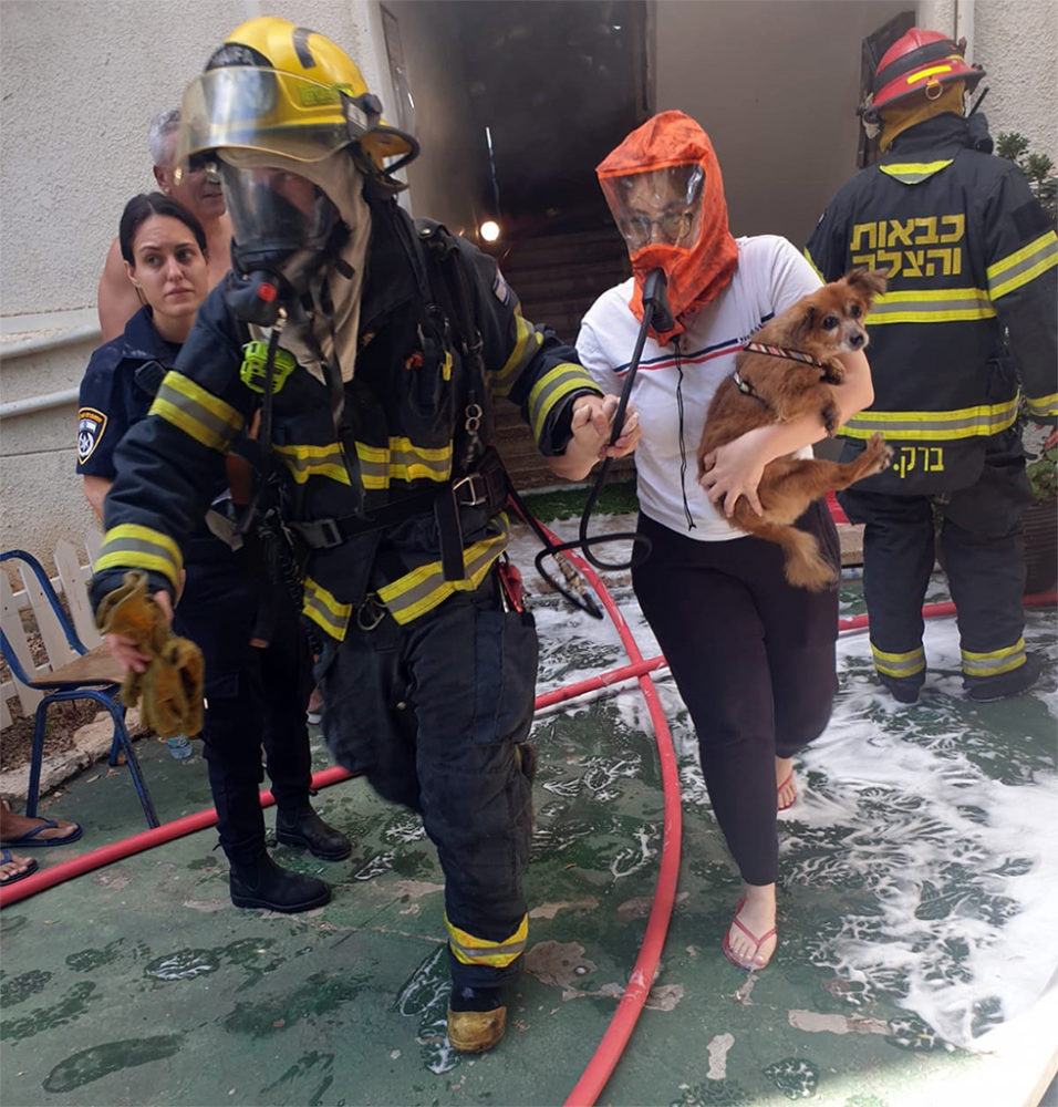 שרפה בדירה ברחוב אדמונד פלג בחיפה • שישה נפגעים במצב קל • דיירים חולצו עם מסכות מיוחדות (צילום: לוחמי האש)