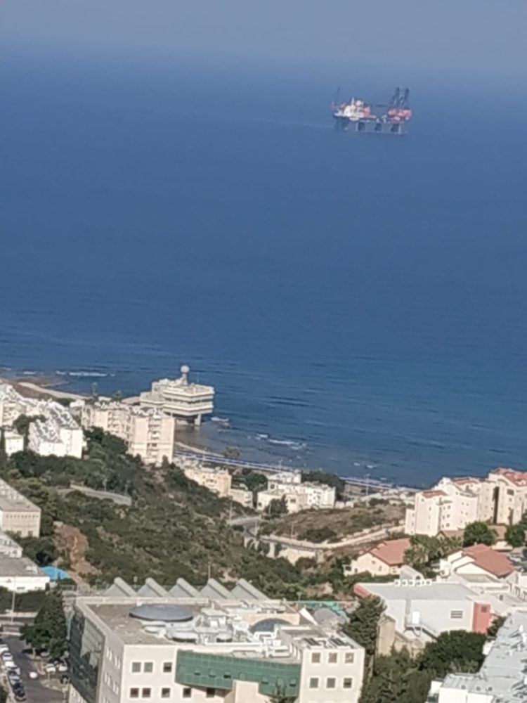 עגורן ימי מול חופי חיפה (צילום אירית בון)