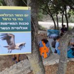 סדנת הסבר על הסכנות האורבות לנשרים – יום הנשר בחיפה (צילום: מאיה קדוש-חכמון)