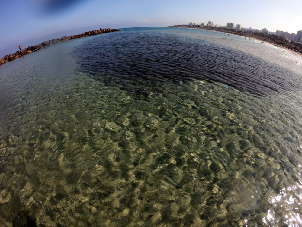 צילום אזור האצות, צילום גו פרו מגובה. תופעה חוזרת של כמות גזים גדולה שנפלטת משכבות של אצות נרקבות מתחת לקרקעית (צילום: מוטי מנדלסון)