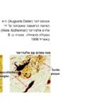 Auguste-and-Pathology
