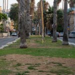 שדרות בת גלים בחיפה (צילום: ירון כרמי)