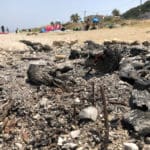 לכלוך מדורה בחוף הגולשים בראש כרמל (צילום: ירון כרמי)